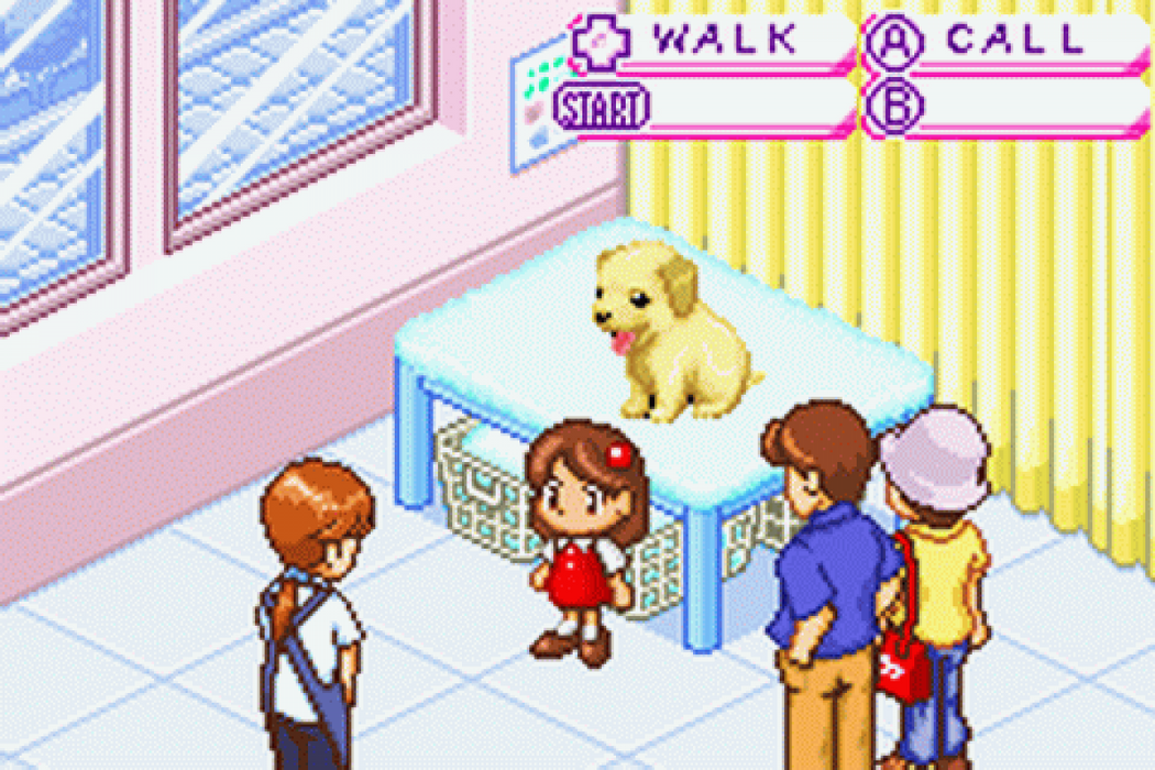 Dogz  – Game Boy Advance (GBA) - for just $4.99! 