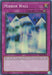 Mirror Wall (25th Anniversary) [PSV-EN016] Super Rare - for just $0.70! 
