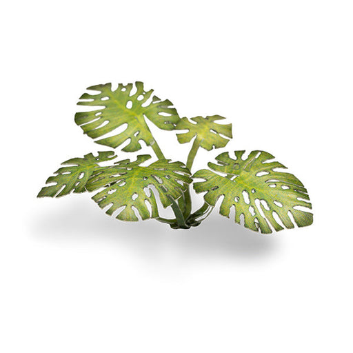 Gamers Grass Laser Plants: Monstera - for just $8.45! 