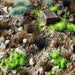 Gamers Grass Tufts: Toxic Waste Set- Wild - for just $11.75! 