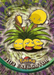 Exeggutor (103) [Topps TV Animation Edition Series 2] - for just $1.50! 