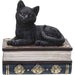 Black Kitten on Books - for just $18.99! 