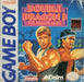 Double Dragon III The Arcade Game (Gameboy) - for just $0! 