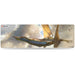 Ultra PRO: Playmat - Dominaria (8ft Table) - for just $0! 