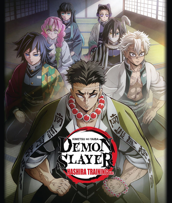 Demon Slayer: Kimetsu no Yaiba: Hashira Training Arc (Blu-ray) - for just $48.99! 