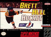 Brett Hull Hockey (Super Nintendo) - for just $0! 