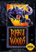 Risky Woods (Sega Genesis) - for just $0! 
