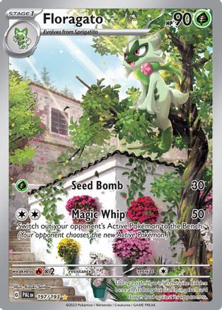 Floragato 197/193 - SV02 Paldea Evolved Holofoil - for just $8.40! 