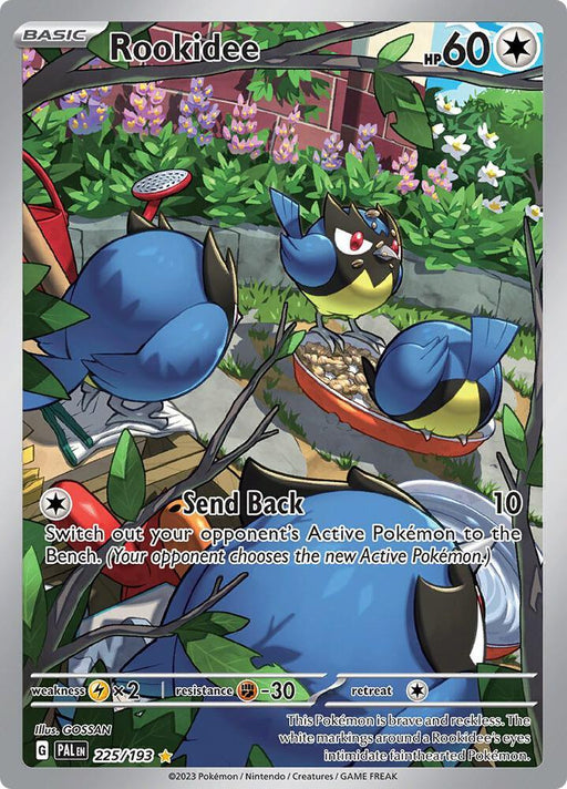 Rookidee (225/193) [Scarlet & Violet: Paldea Evolved] - for just $2.50! 