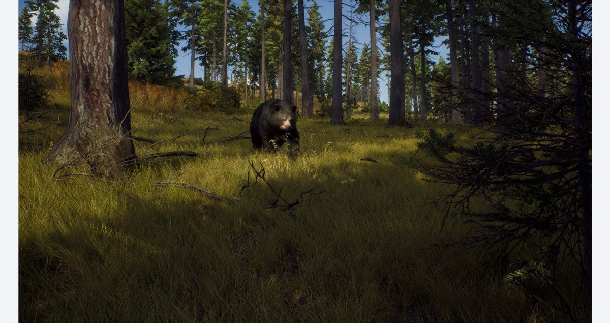 Way of The Hunter – PlayStation 5 (PS5) - for just $18.99! 