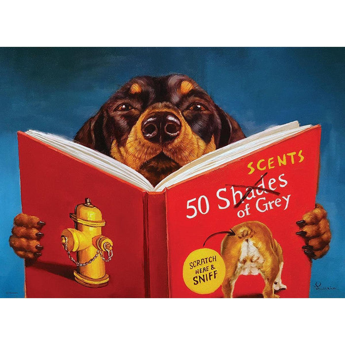 50 Scents of Grey 500 Piece Jigsaw Puzzle Eurographics - for just $17.99! 