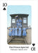 Women's Suffrage Playing Card Deck - for just $7.99! 