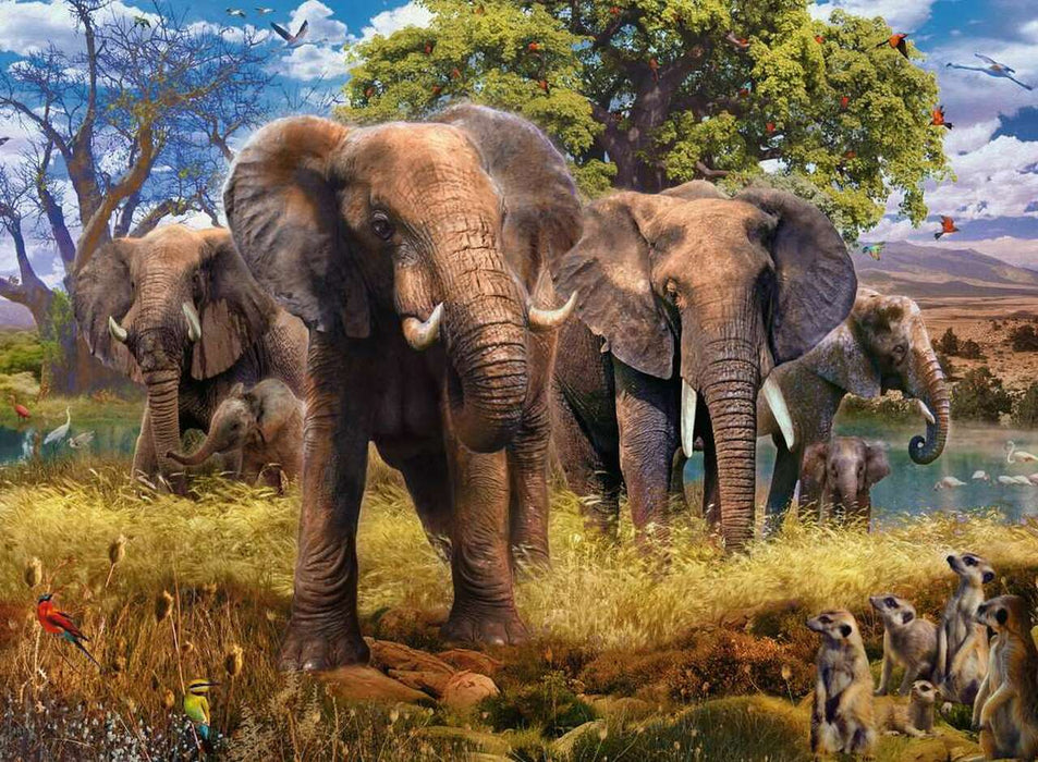 Puzzle: Elephants - for just $18.49! 