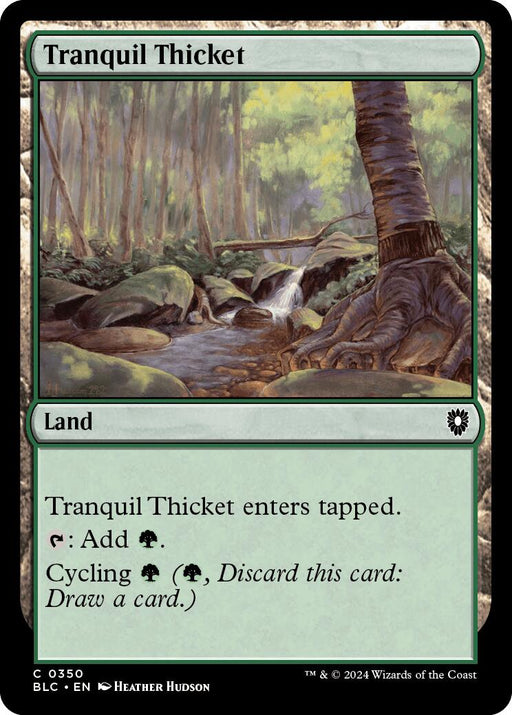 Tranquil Thicket [Bloomburrow Commander] - Just $0.10! Shop now at Retro Gaming of Denver