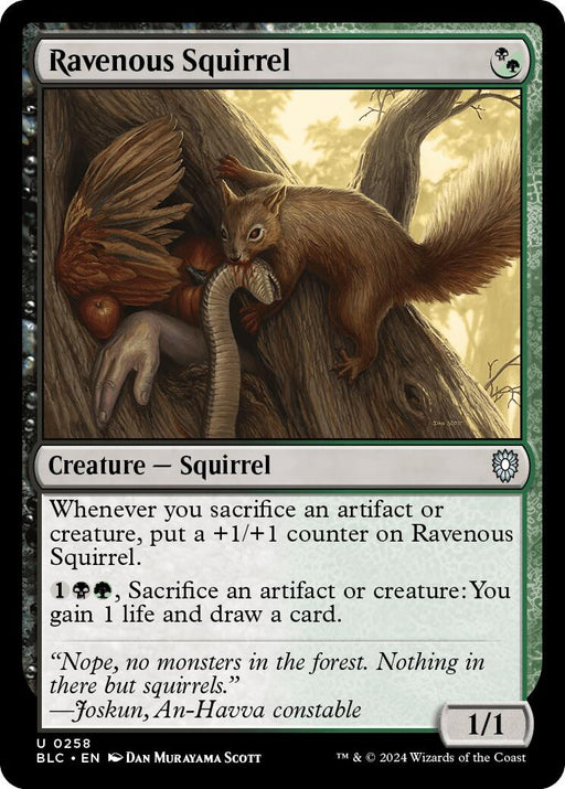 Ravenous Squirrel [Bloomburrow Commander] - Just $0.10! Shop now at Retro Gaming of Denver