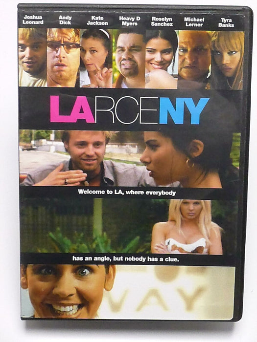 Larceny (DVD, 2004) - L01 - for just $1.99! 