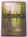 Joseph Smith - American Prophet (DVD) - J0514 - for just $10.99! 