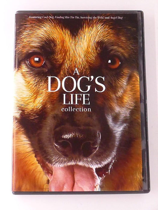 A Dogs Life Collection - Cool Dog, Finding Rin Tin Tin, Sur.. (DVD, 4-film) - K5 - for just $2.99! 