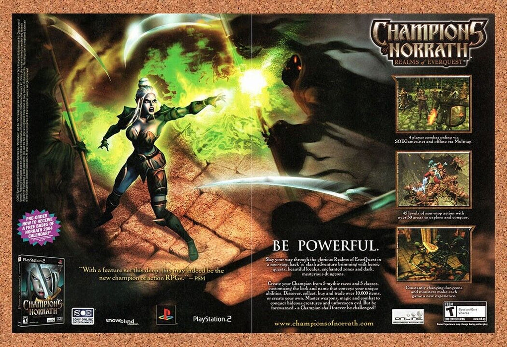 2003 Champions Of Norrath PS2 Dark Elf Original Ad - for just $21.49! 