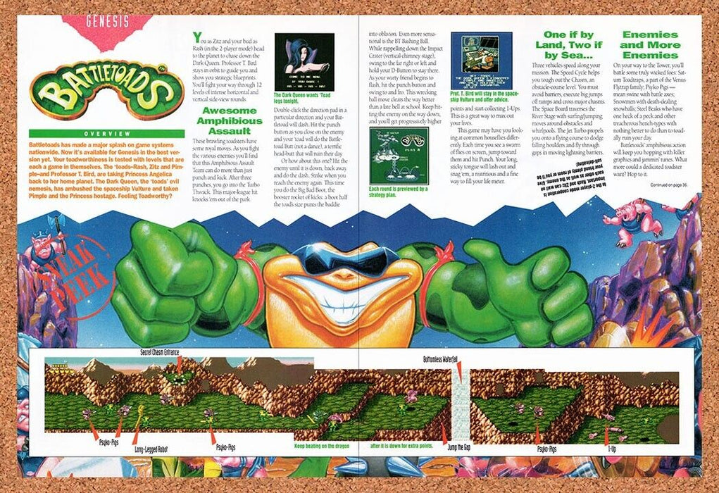 1993 Battletoads Genesis Original Ad v5 - for just $21.49! 