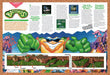 1993 Battletoads Genesis Original Ad v5 - for just $21.49! 