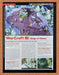 2001 WarCraft III Reign Of Chaos PC Original Ad - for just $17.99! 