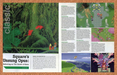 2013 Secret Of Mana SNES Original Ad - for just $21.49! 