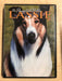 Lassie - The Painted Hills (DVD, 1951) - J0319 - for just $1.99! 