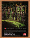 2005 ATI Radeon 9800 Pro Video Card Original Ad v1 - for just $18.99! 