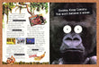 1994 Donkey Kong Country SNES Original Ad v2 - for just $21.49! 
