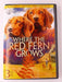 Where the Red Fern Grows, The Legend of Wolf Mountain, B.. (DVD, 4-film) - K0428 - for just $2.50! 