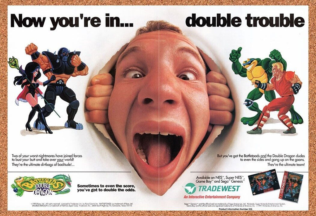 1993 Battletoads And Double Dragon SNES Original Ad v3 - for just $21.49! 