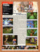 2000 Threads Of Fate PS1 Original Ad - for just $17.99! 