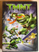 TMNT (DVD, 2007, Teenage Mutant Ninja Turtles) - J0611 - for just $1.99! 