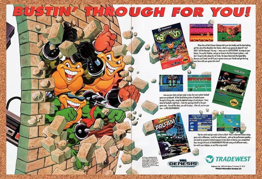 1993 Battletoads Tradewest NES Games Original Ad v6 - for just $21.99! 
