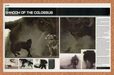 2007 Shadow Of The Colossus PS2 Original ICO Ad - for just $21.49! 