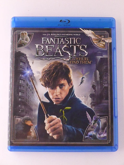 Fantastic Beasts and Where to Find Them (Blu-ray, 2016) - K9 - for just $2.99! 
