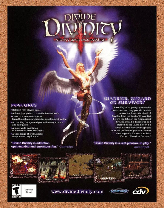 2003 Divine Divinity Create Your Own Destiny PC Original Ad v1 - for just $15.29! 