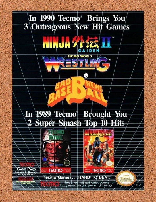 1991 Tecmo Ninja Gaiden II NES Original Ad - for just $17.99! 