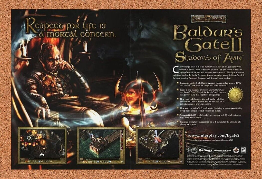 2002 Baldur's Gate II Shadows Of Amn PC Original Ad - for just $21.49! 