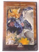 Year Seven - Marty Stouffers Wild America (DVD) - I0123 - for just $5.99! 
