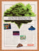 1995 Earthbound SNES Original Ad v1 - for just $18.29! 