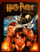 Harry Potter and the Sorcerers Stone (DVD, 2001, Widescreen) - L04 - for just $1.99! 