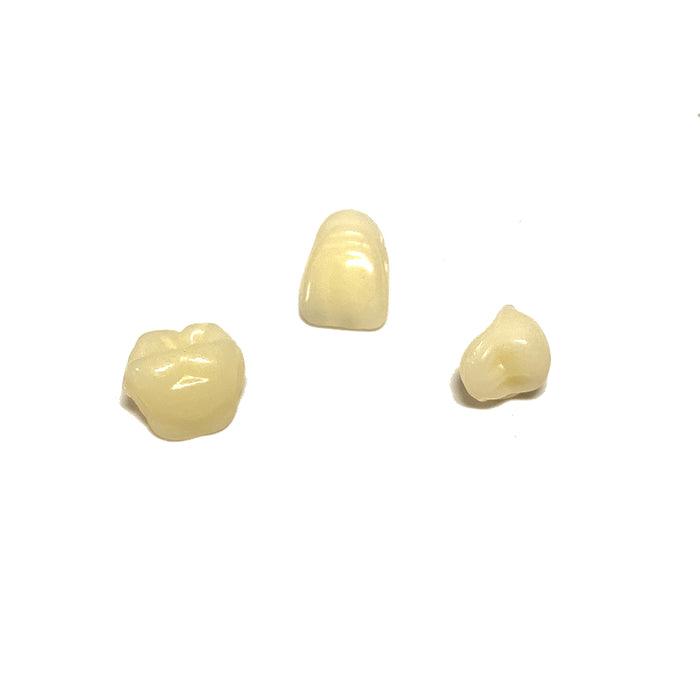 Professional Grade Fake Resin Teeth Set - 28 Pieces - for just $13! 