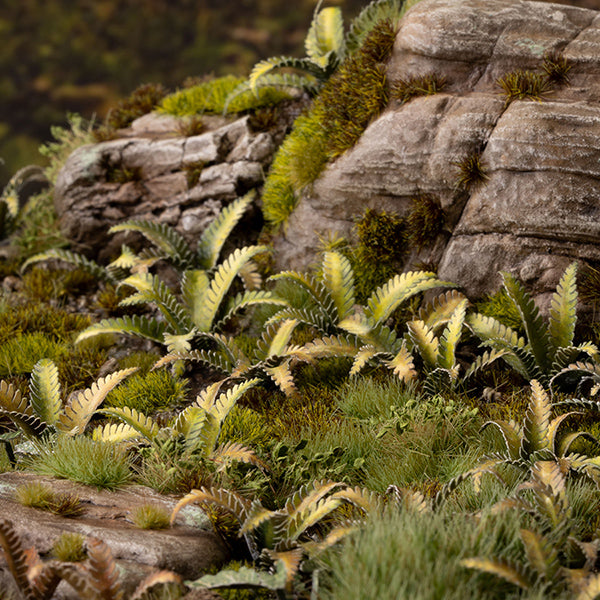 Gamers Grass Laser Plants: Deer Fern - for just $10.99! 