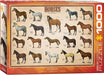 Puzzle: Animal Charts - Horses - for just $19.99! 
