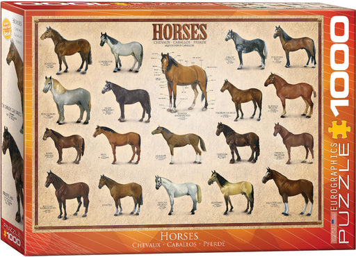 Puzzle: Animal Charts - Horses - for just $19.99! 