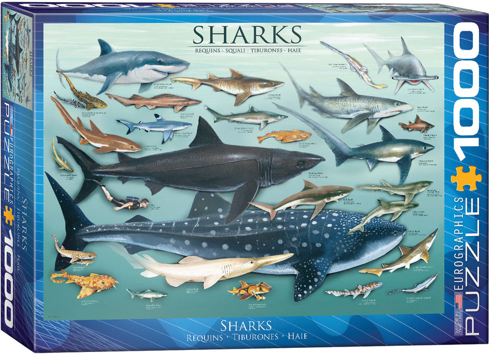 Puzzle: Animal Charts - Sharks - for just $19.99! 