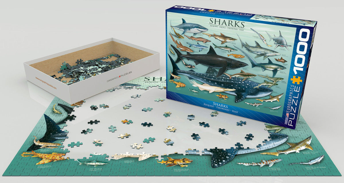 Puzzle: Animal Charts - Sharks - for just $19.99! 