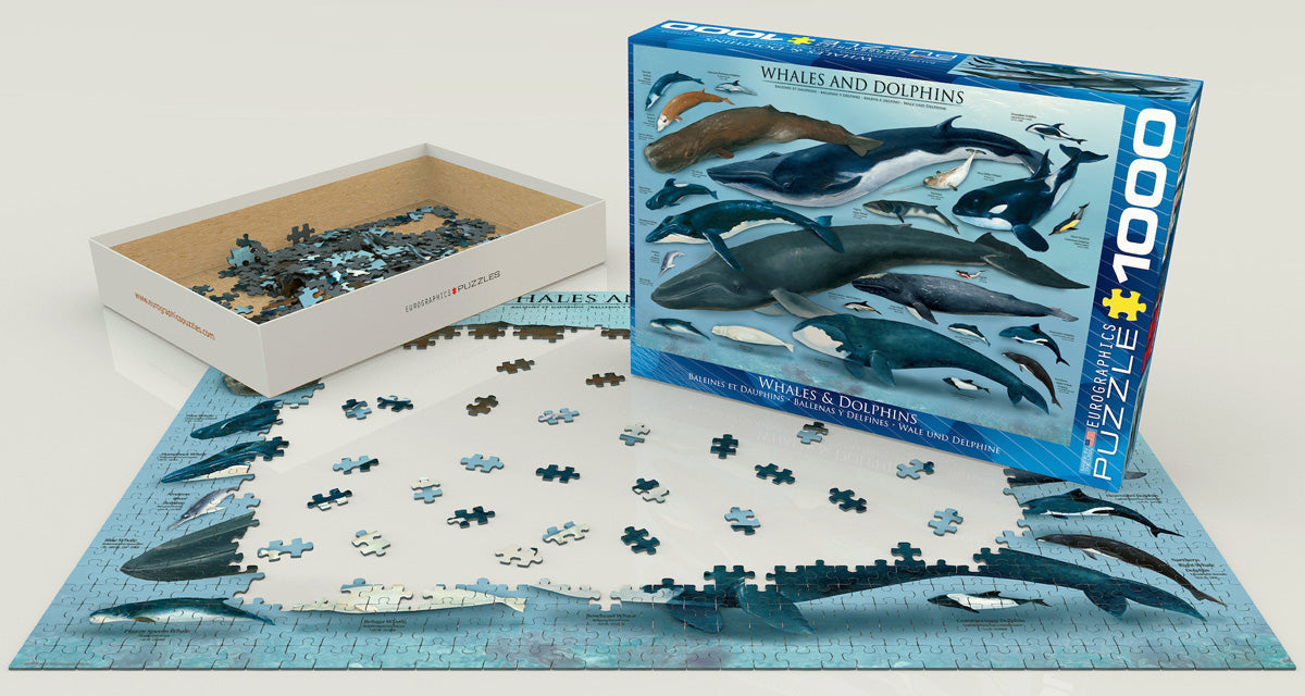 Puzzle: Animal Charts - Whales & Dolphins - for just $19.99! 